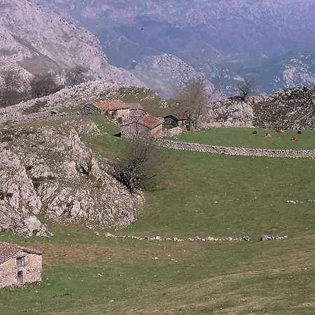 Hotel Picos De Europa