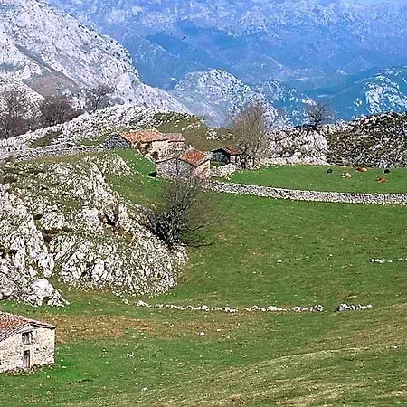 Hotel Picos De Europa 3*