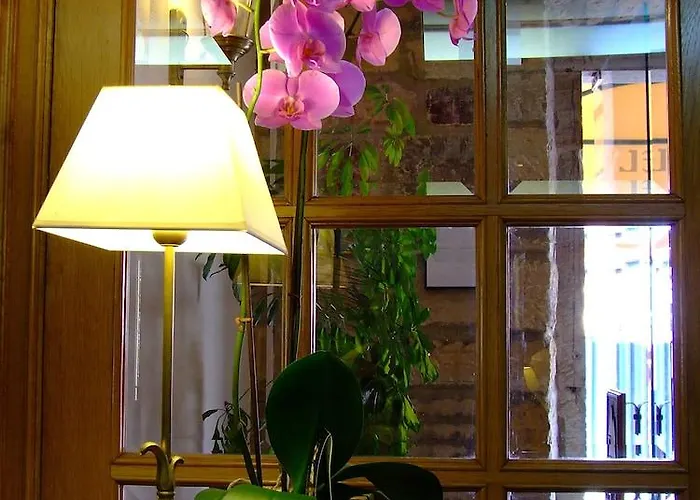 Picos De Europa Las Arenas